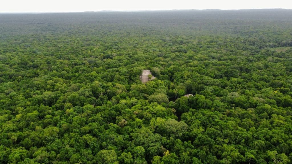 Hidden pyramids uncovered under the Amazon rainforest – Morning Overview