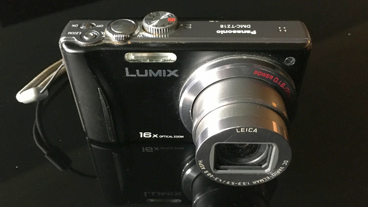 Image Credit: Pittigrilli - CC BY-SA 4.0/Wiki Commons