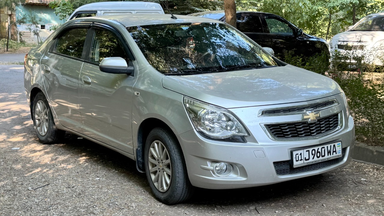 Image Credit: Jamshid Nurkulov - CC BY-SA 4.0/Wiki Commons