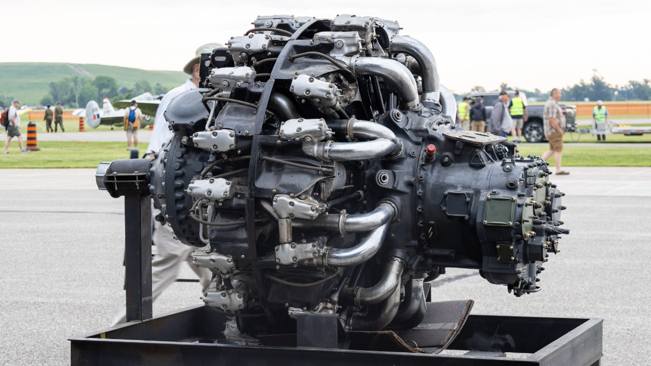 Image Credit: Crisco 1492 - CC BY-SA 4.0/Wiki Commons