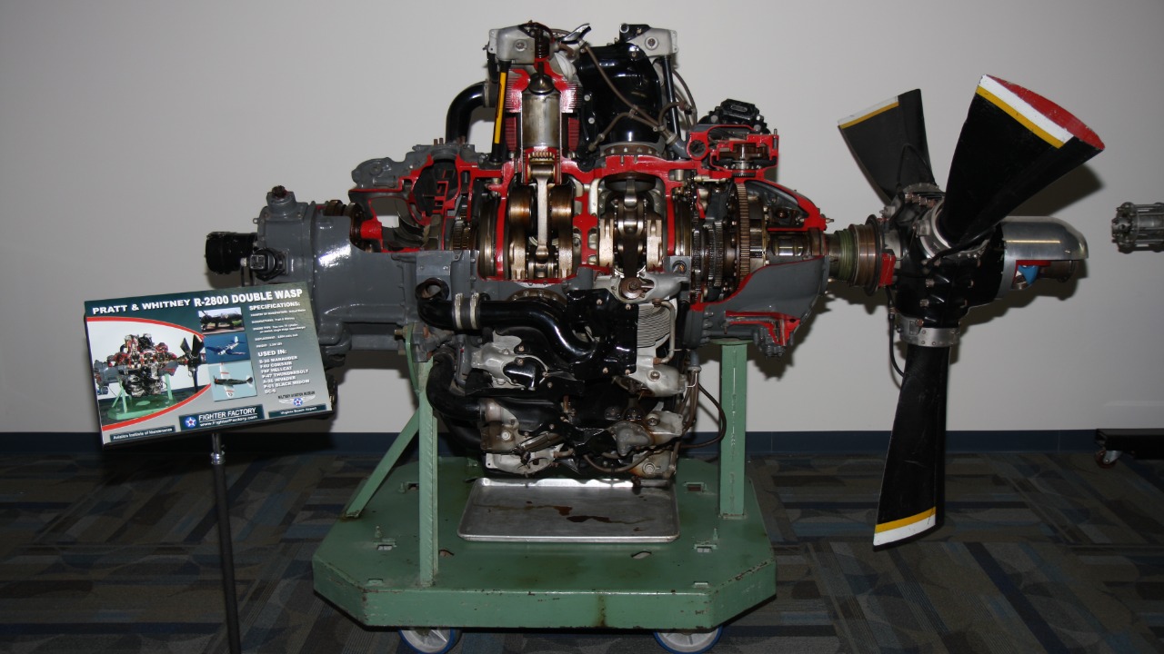 Image Credit: Michael Rehbaum - CC BY-SA 3.0/Wiki Commons