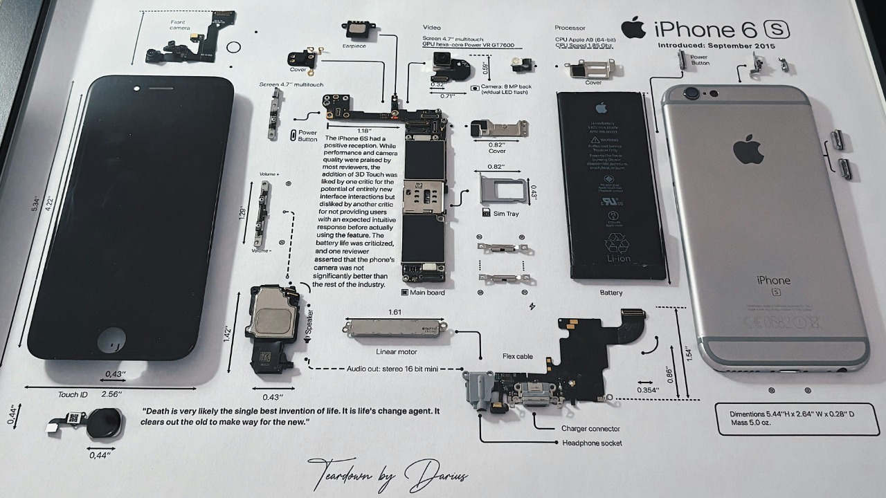 dariuscotoi/Unsplash