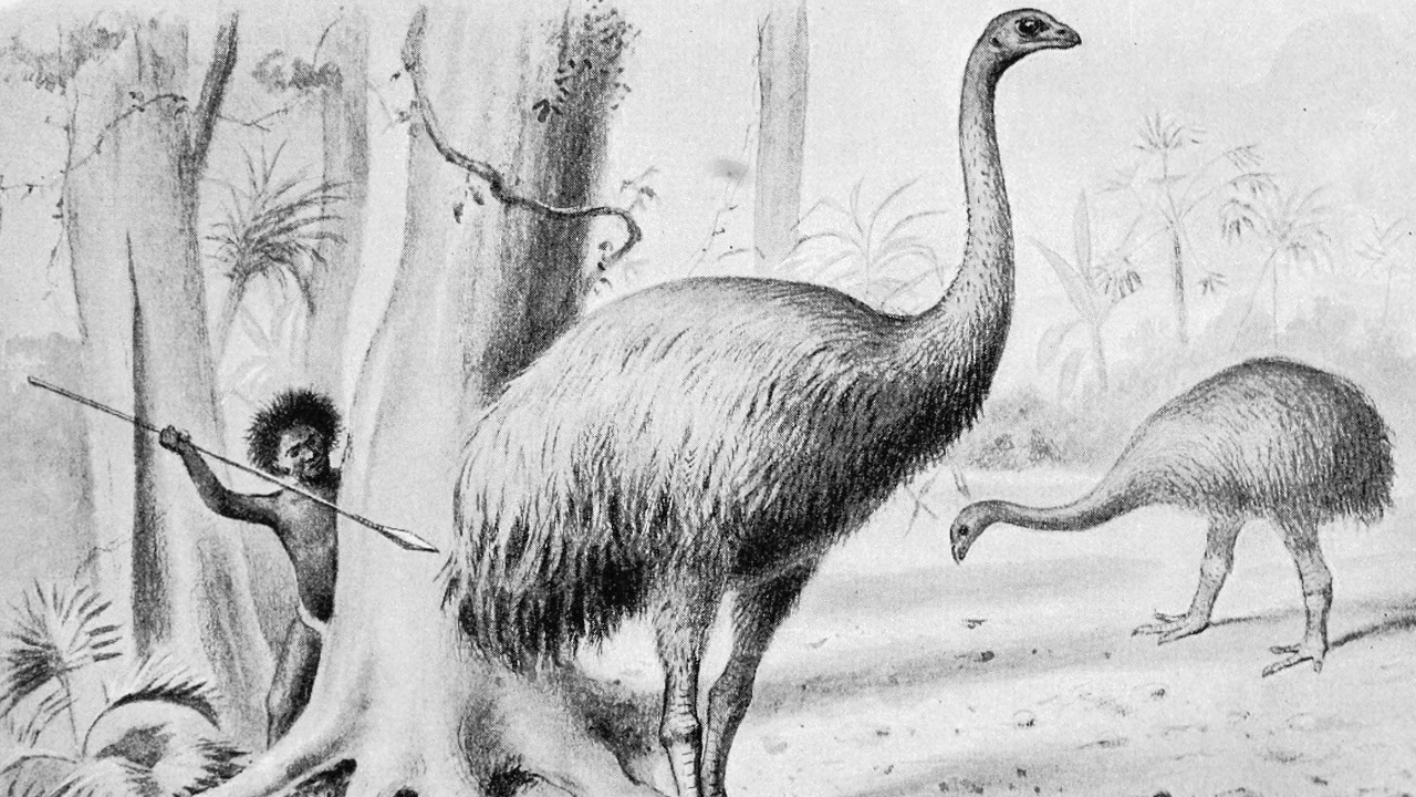 Image Credit: Joseph Smit - Public domain/Wiki Commons