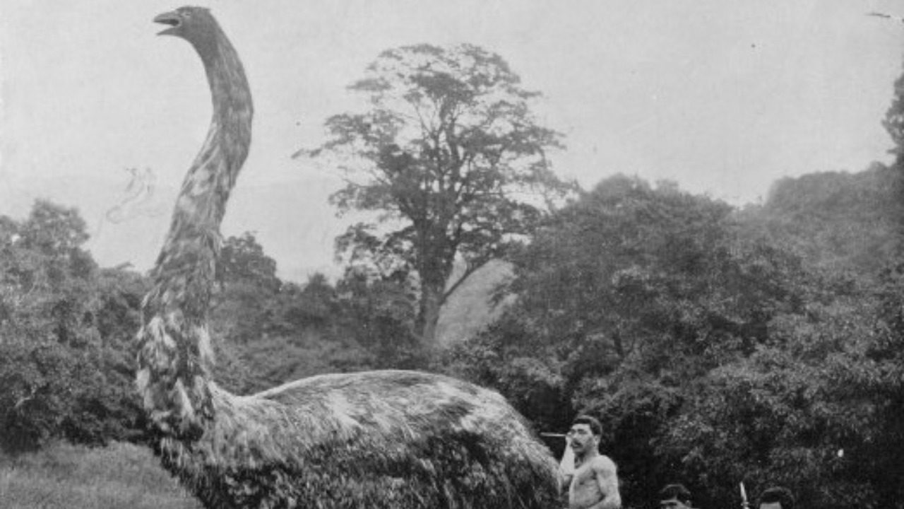 Image Credit: Augustus Hamilton - Public domain/Wiki Commons