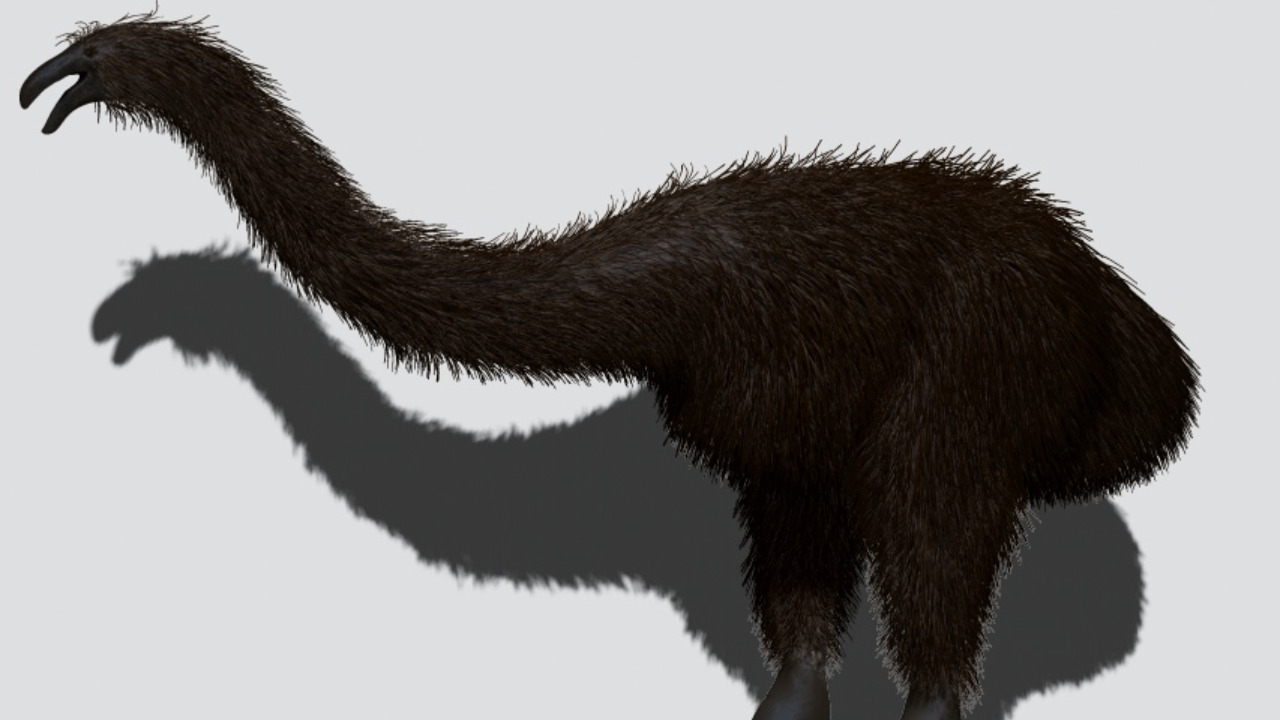 Image Credit: Петр Меньшиков - CC BY-SA 4.0/Wiki Commons