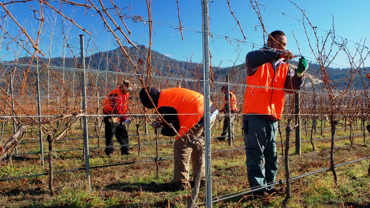 Image Credit: Mark Smith - CC BY 2.0/Wiki Commons