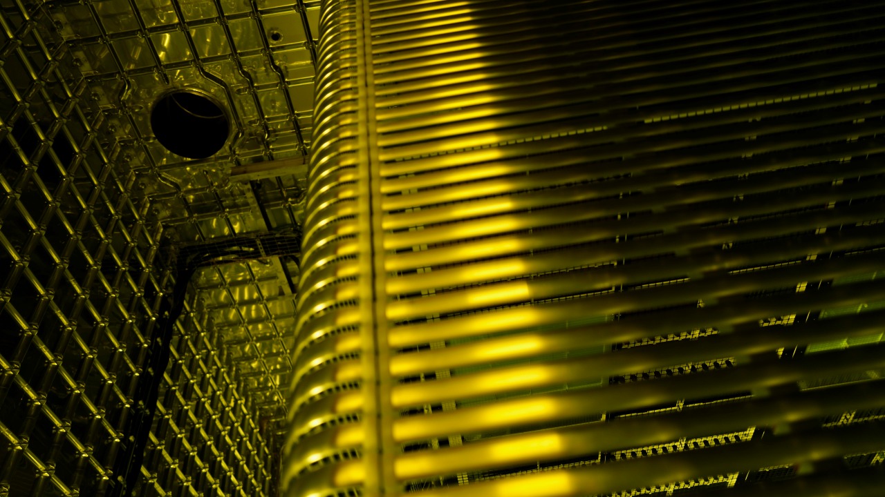 Image Credit: Markbenecke - CC BY-SA 4.0/Wiki Commons