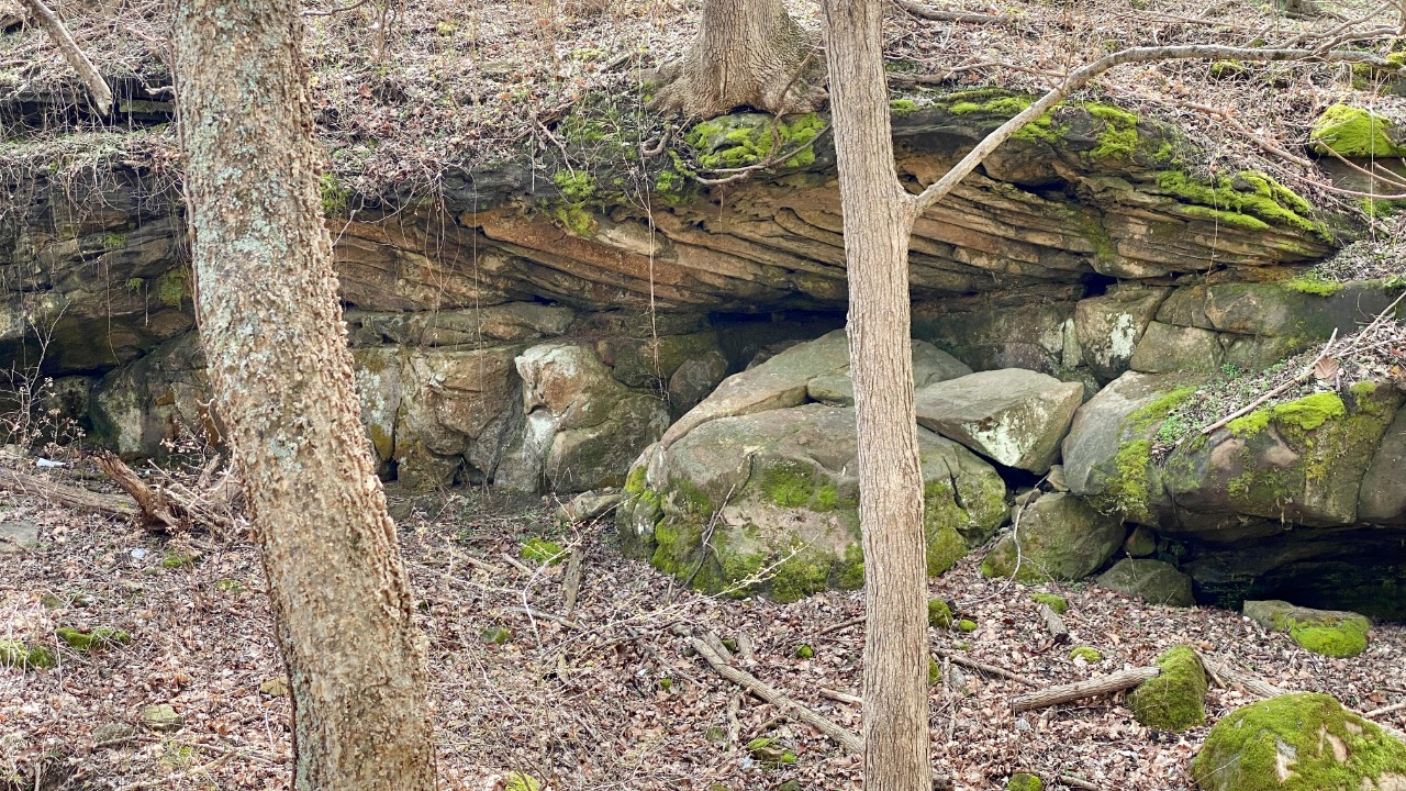 Image Credit: w_lemay - CC BY-SA 2.0/Wiki Commons