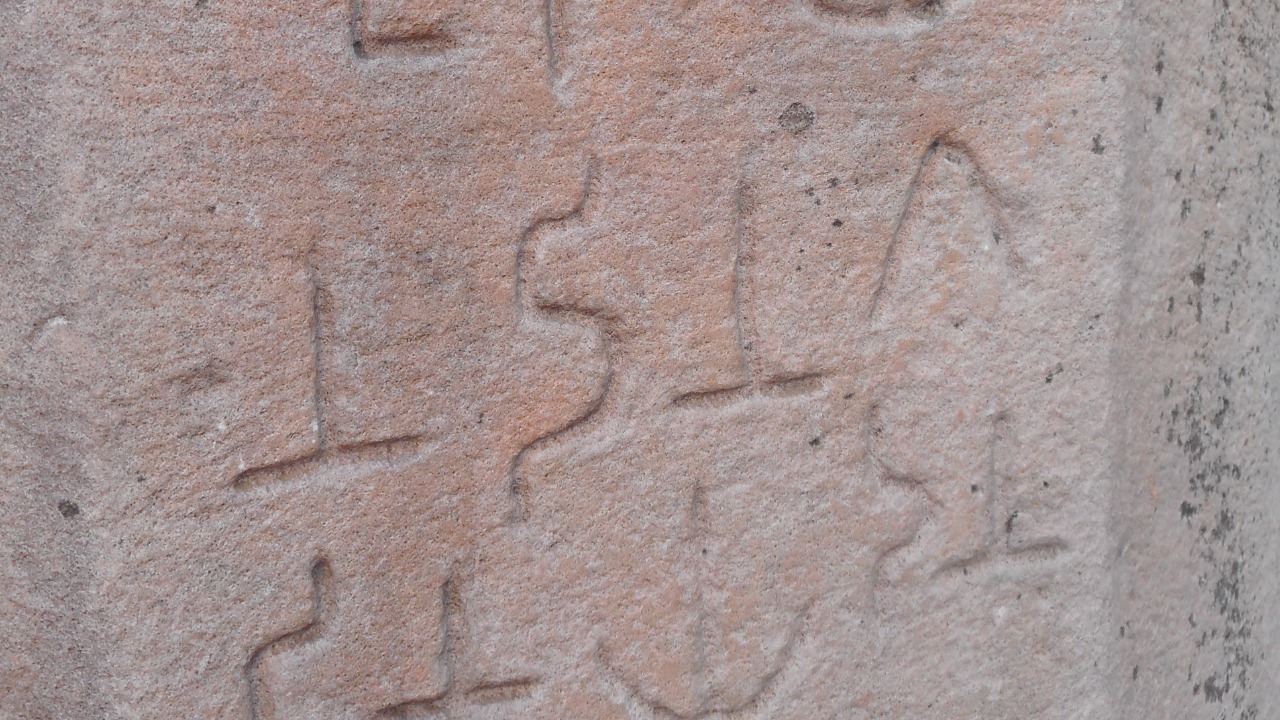 Image Credit: WISDOMurali - CC BY-SA 4.0/Wiki Commons