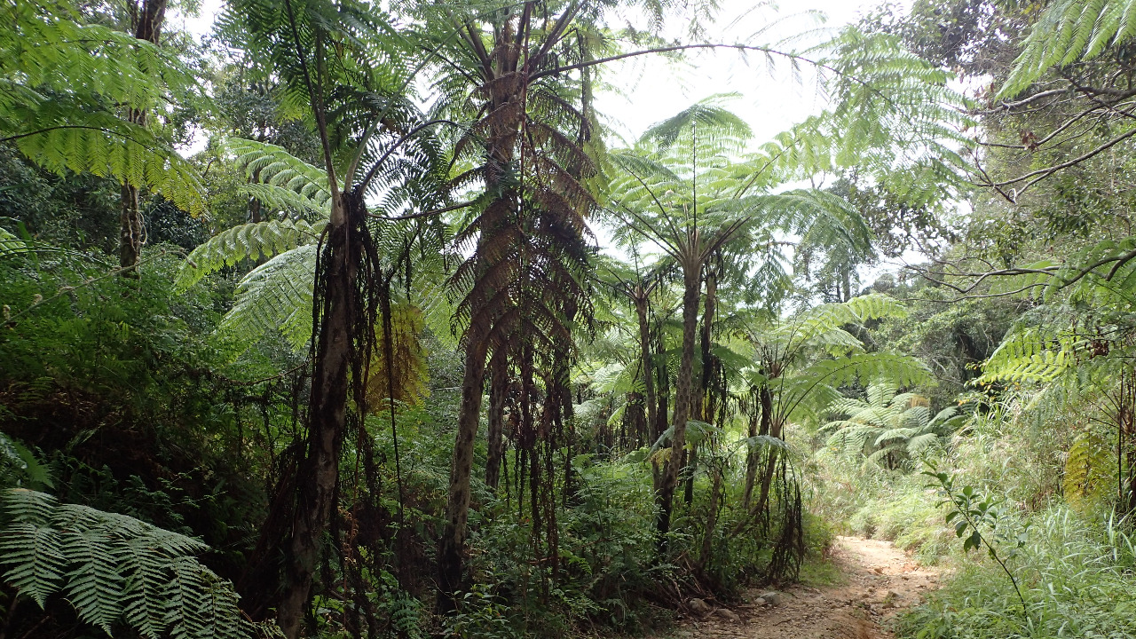 Image Credit: Firth m - CC BY-SA 4.0/Wiki Commons