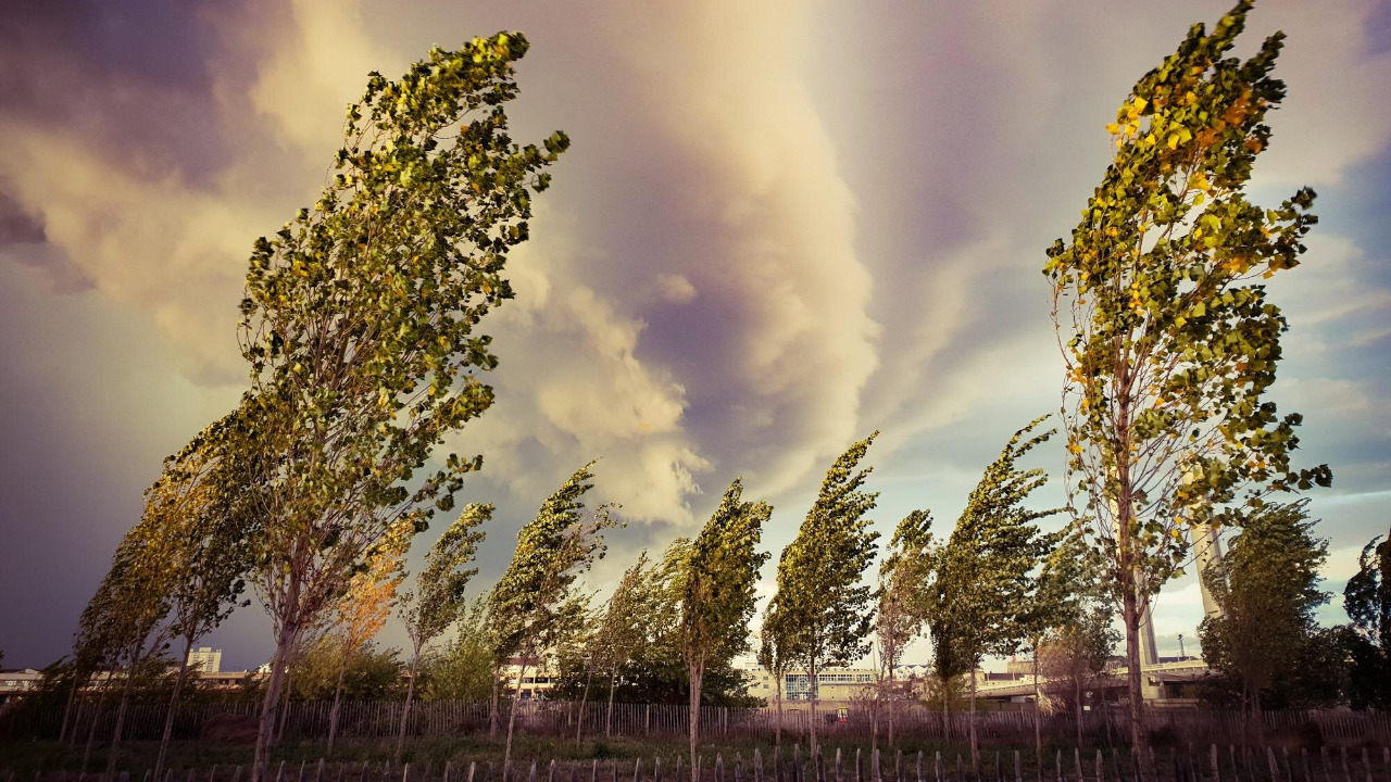 Image by Freepik