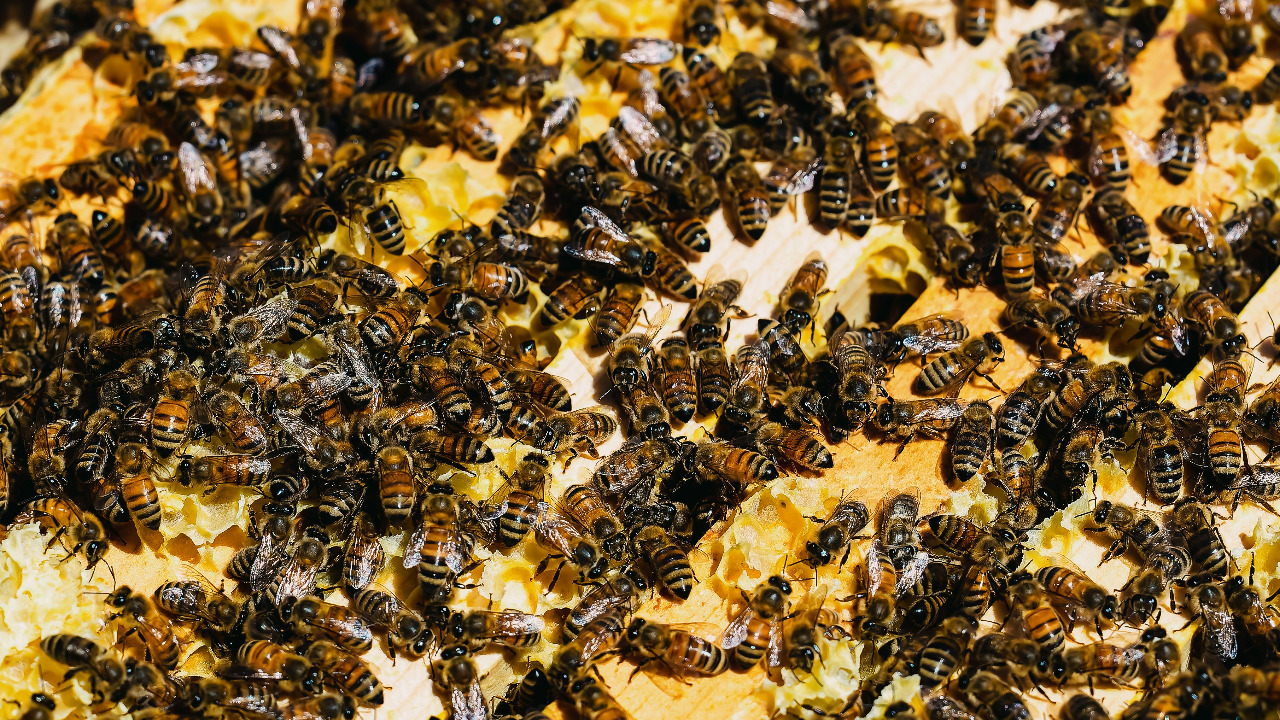 jordan_ryskamp/Unsplash