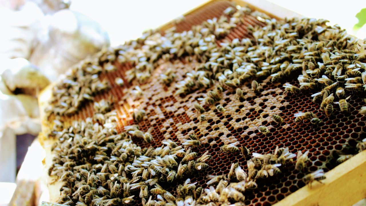 isaacmarechal/Unsplash