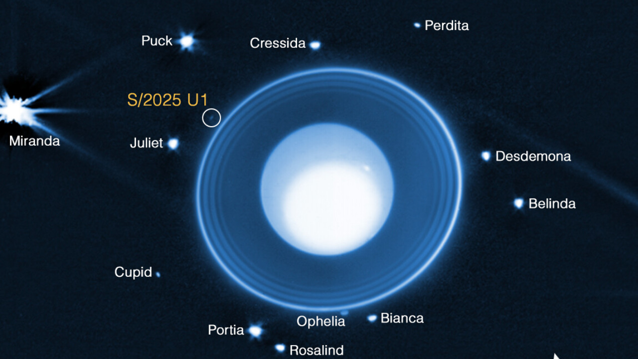 Image Credit: NASA, ESA, CSA, STScI, M. El Moutamid (SWRI), M. Hedman (University of Idaho) - Public domain/Wiki Commons