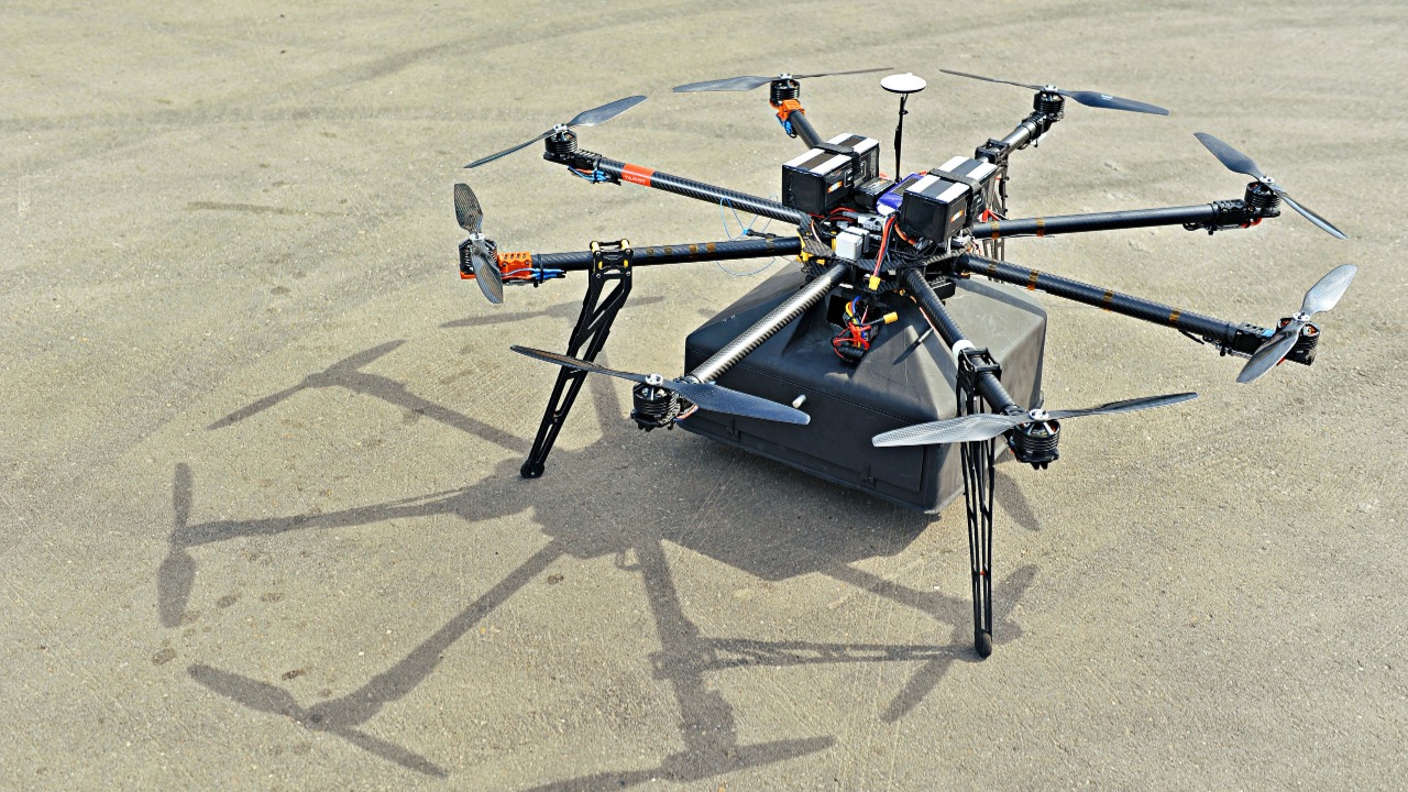 Image Credit: Dodo Pizza World - CC BY-SA 2.0/Wiki Commons