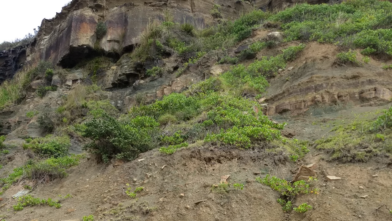 Image Credit: Dippiljemmy - CC BY-SA 4.0/Wiki Commons