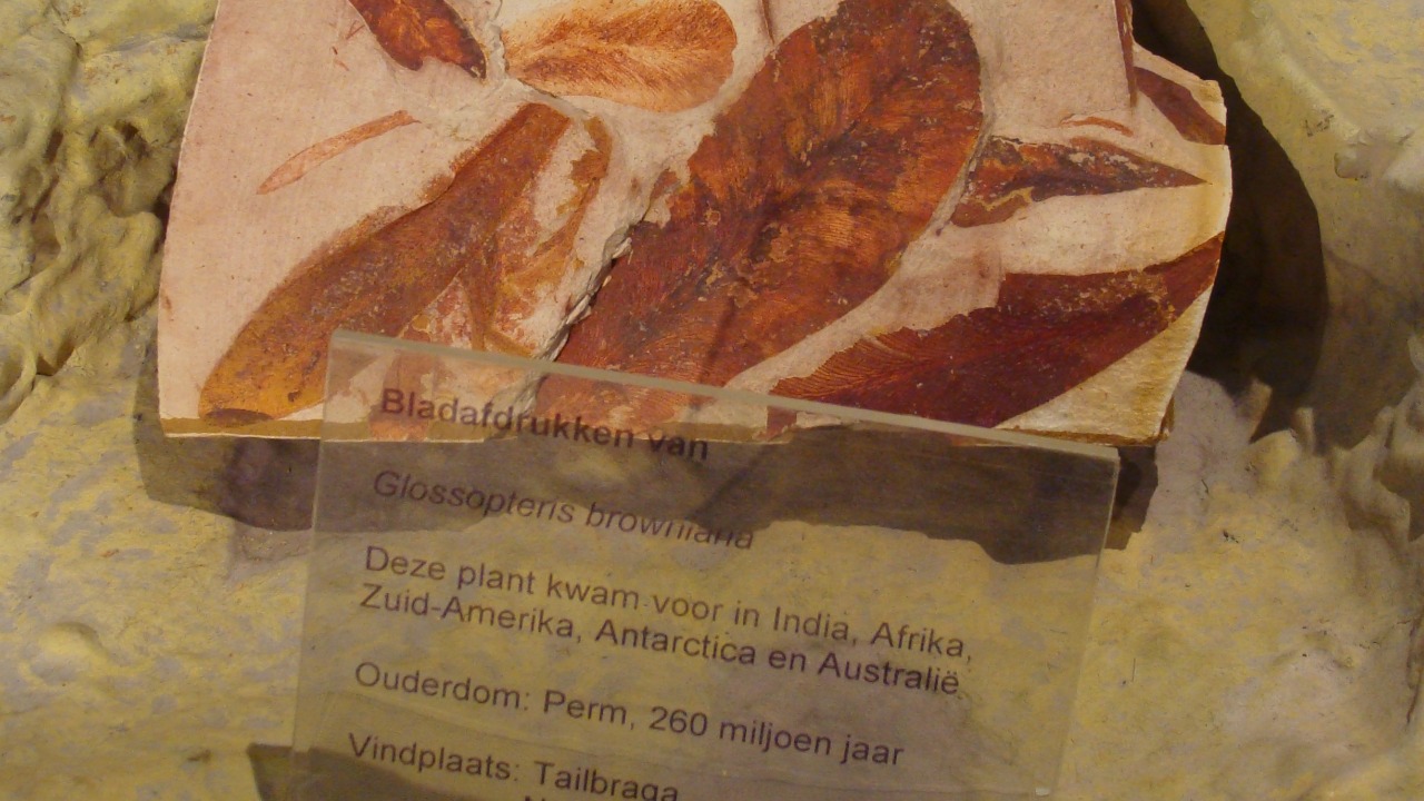 Image Credit: Eduard Solà - CC BY-SA 3.0/Wiki Commons