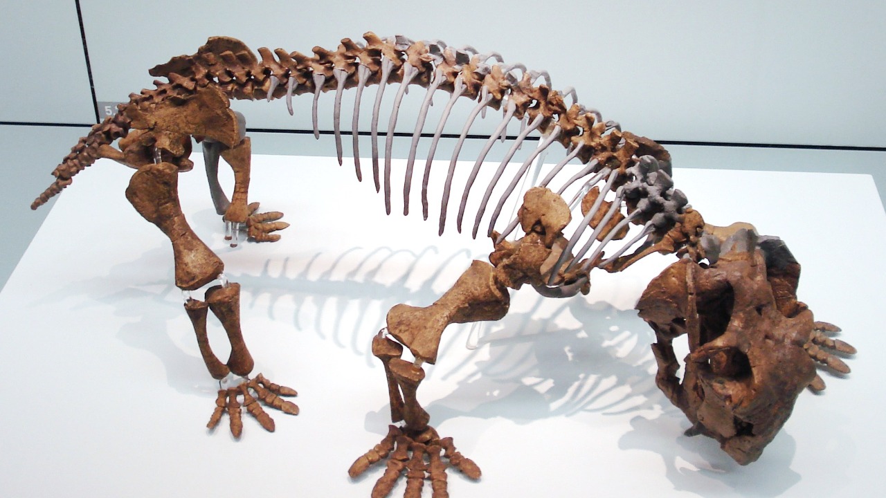 Image Credit: Ghedoghedo - CC BY-SA 3.0/Wiki Commons