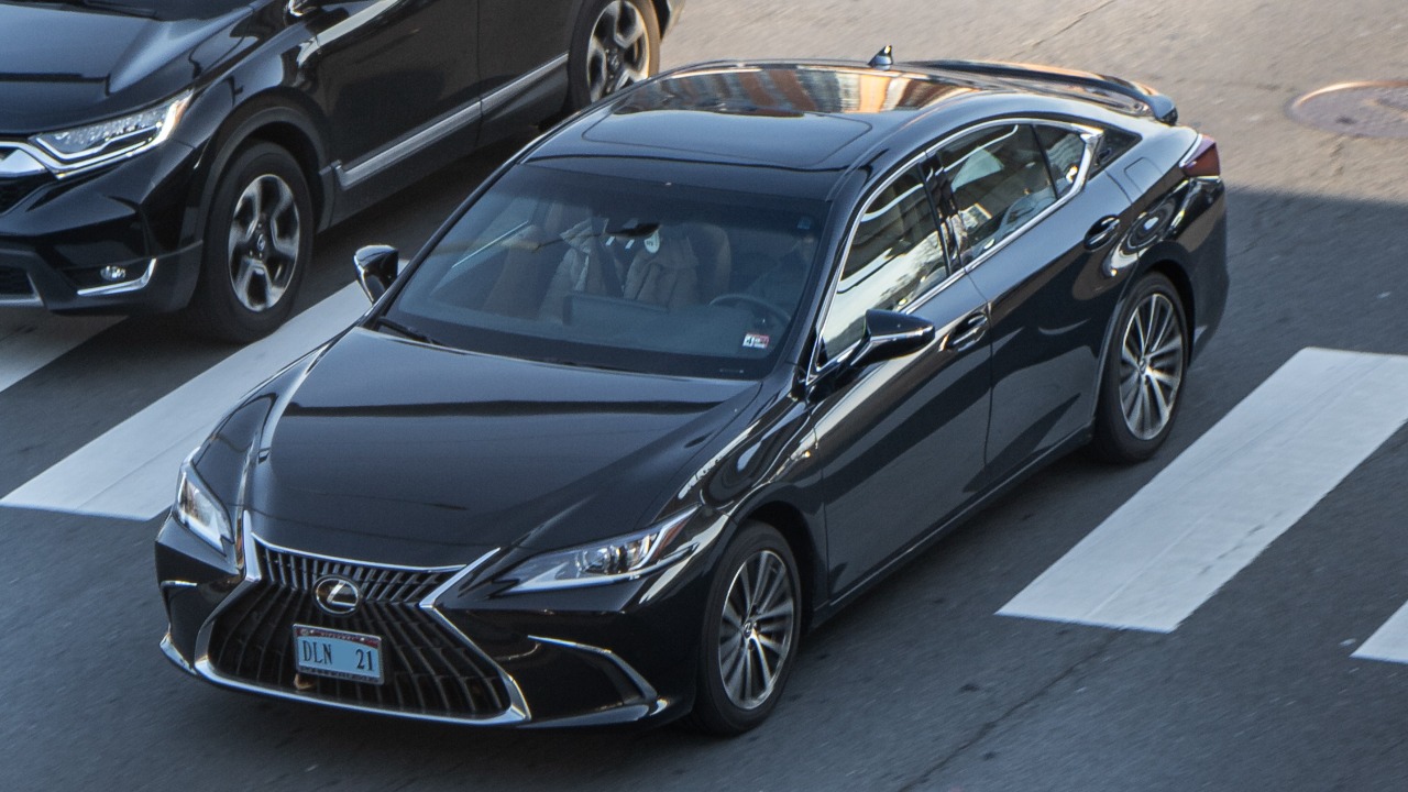 Image Credit: OWS Photography - CC BY 4.0/Wiki Commons