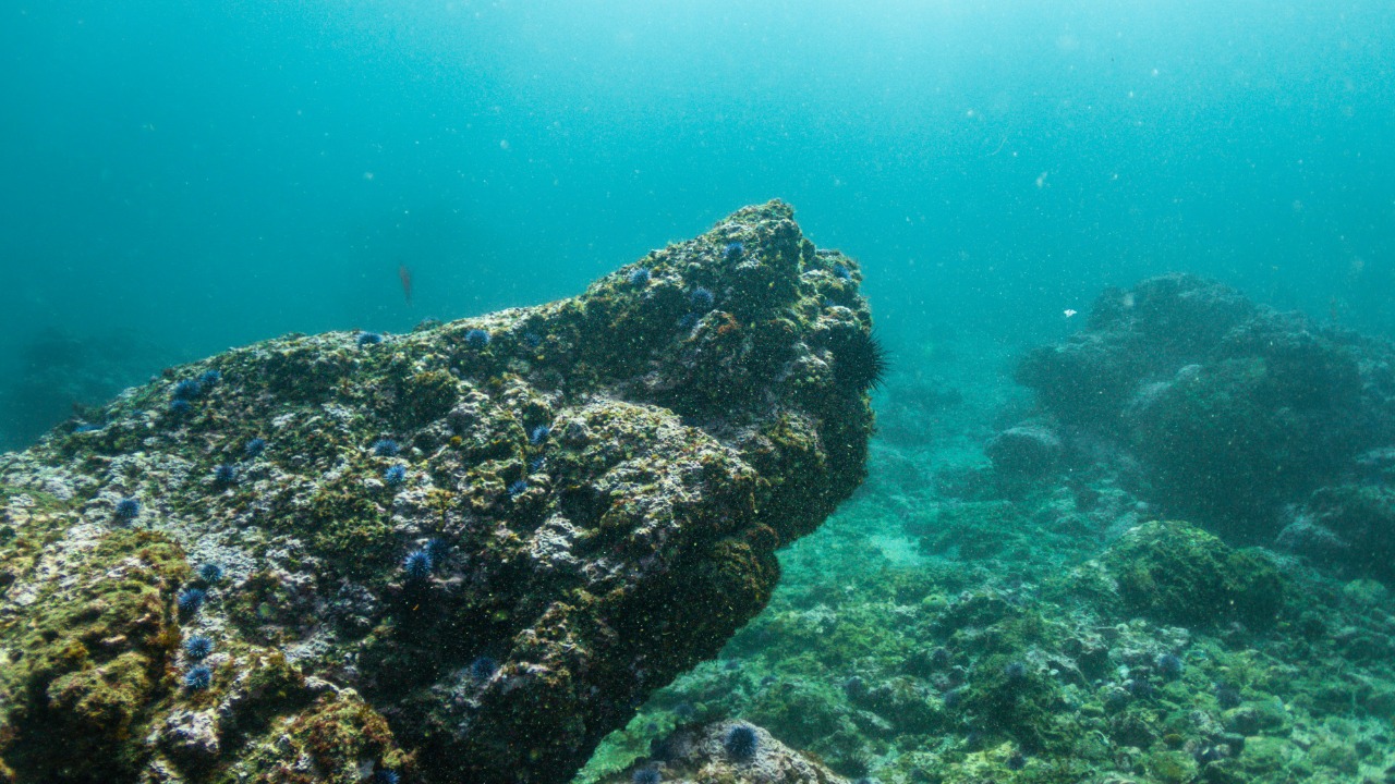 ejmoralesoyola/Unsplash