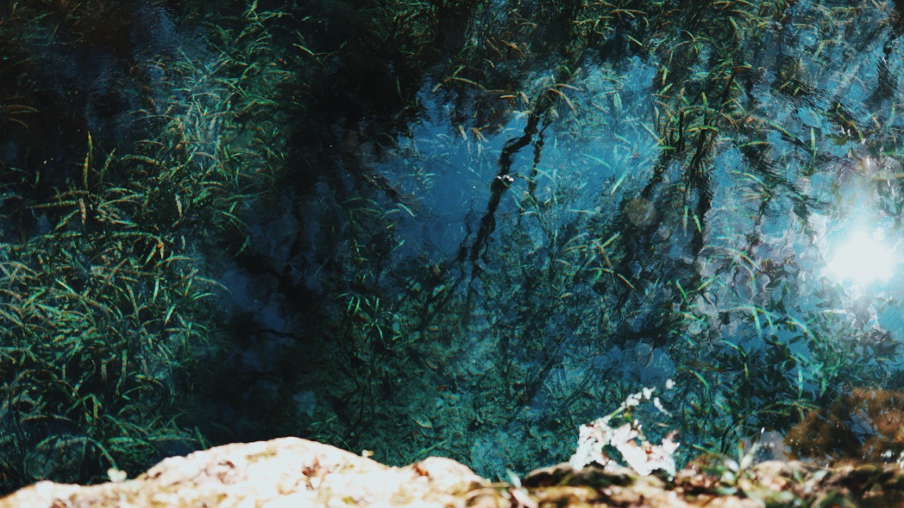 amyjoyhumphries/Unsplash