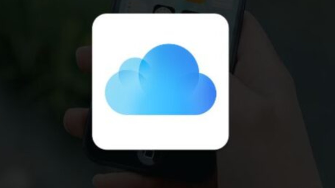 Image Credit: Ahadi Donatien Vamuleke - CC BY-SA 4.0/Wiki Commons