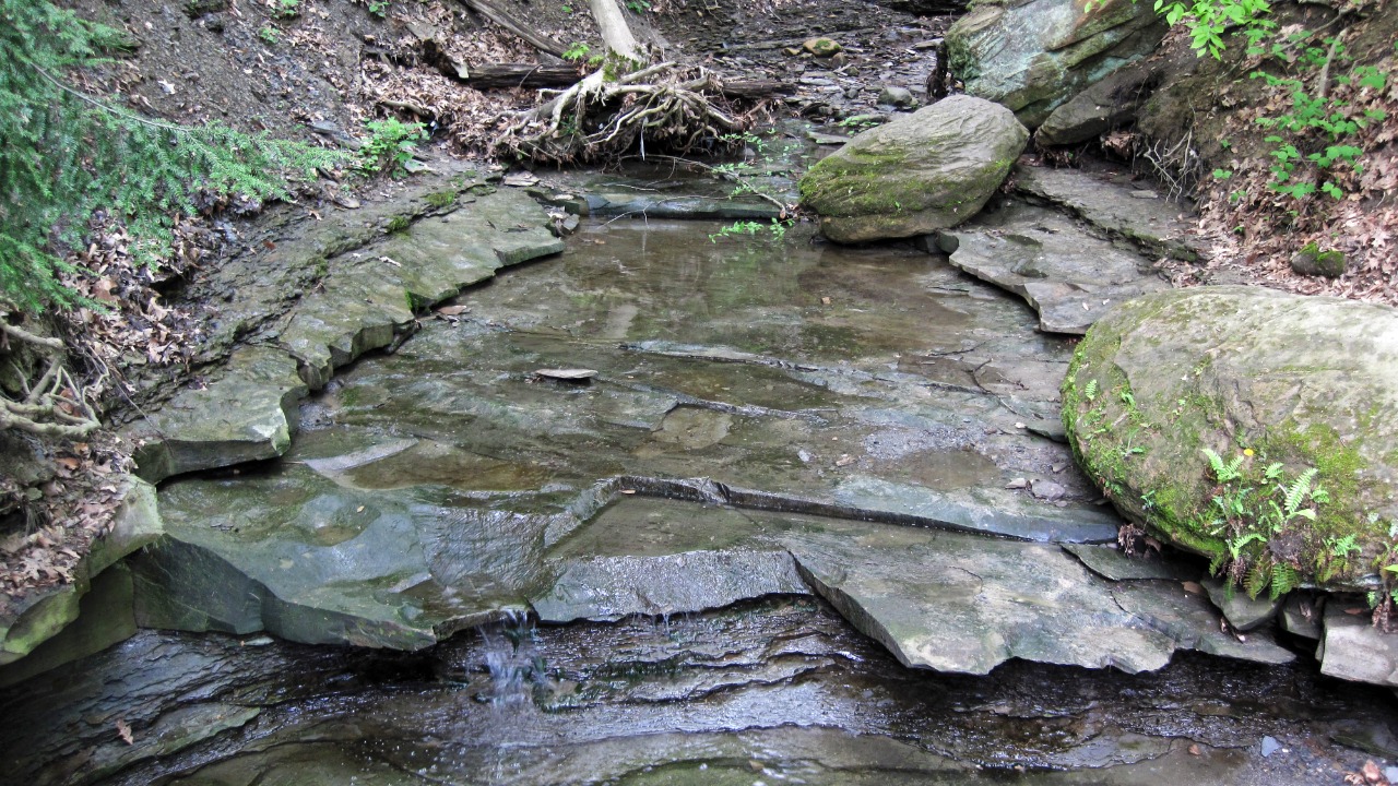 Image Credit: James St. John - CC BY 2.0/Wiki Commons