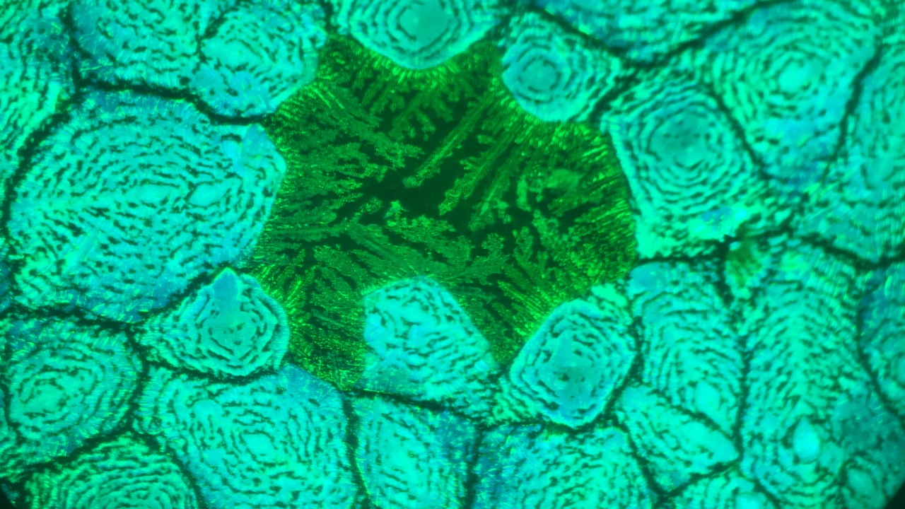 Image Credit: Furasova - CC BY 4.0/Wiki Commons