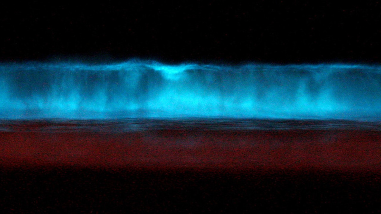 Image Credit: Mike - CC BY-SA 2.0/Wiki Commons