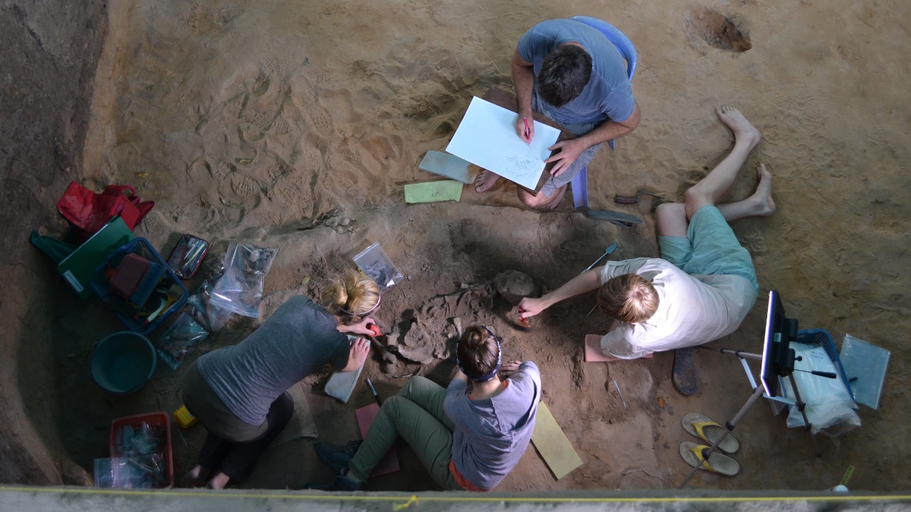 Image Credit: Dougald O'Reilly - CC BY-SA 4.0/Wiki Commons