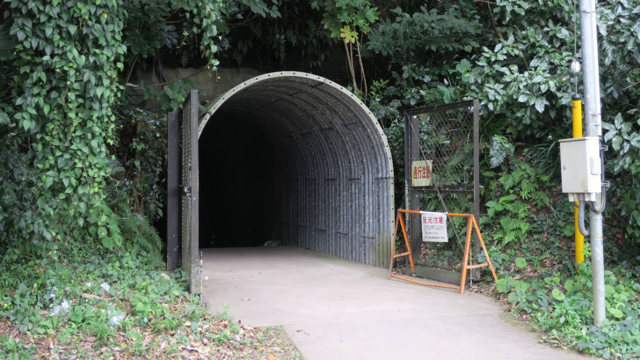 Image Credit: Taken with Canon PowerShot G9 X - CC BY-SA 4.0/Wiki Commons