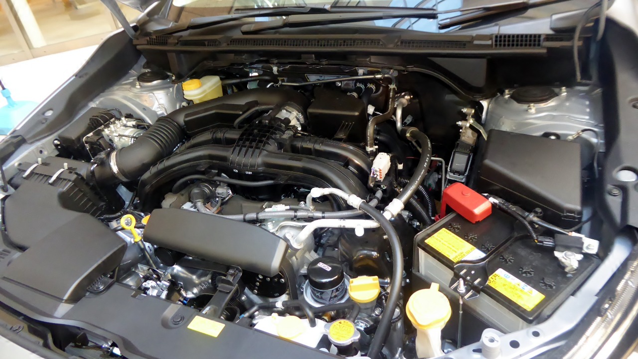 Image Credit: Tokumeigakarinoaoshima - CC BY-SA 4.0/Wiki Commons