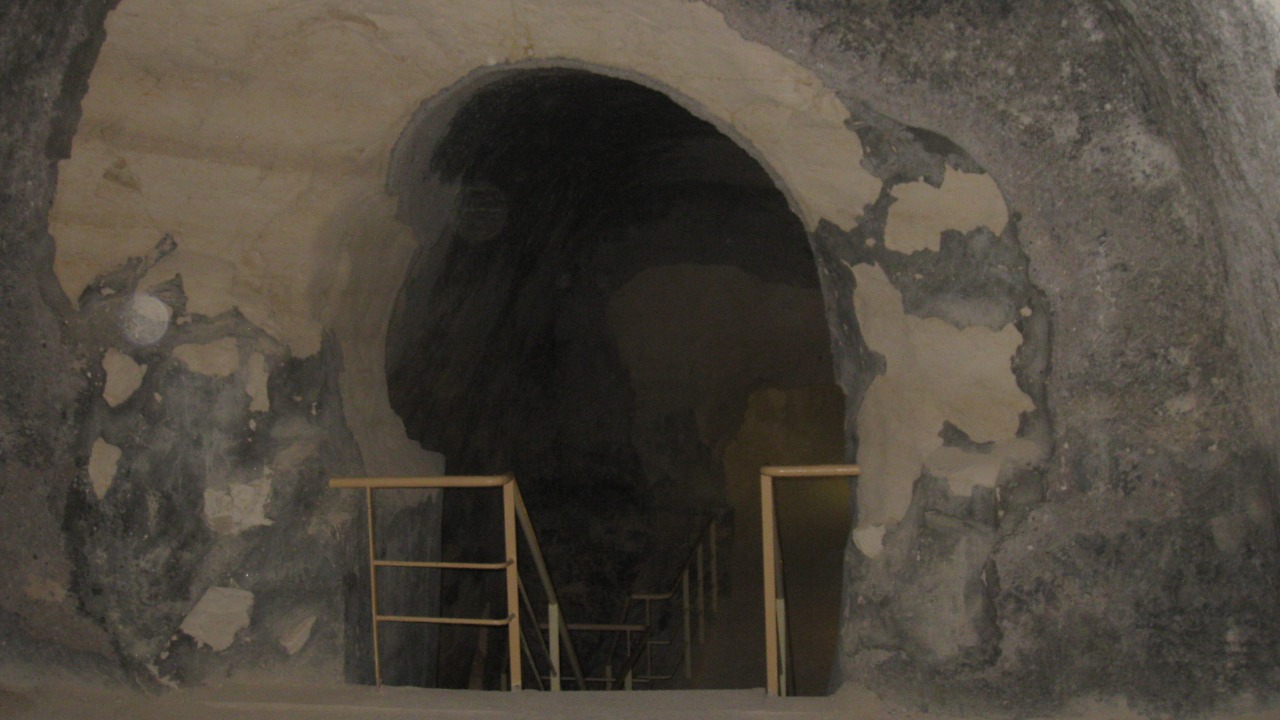 Image Credit: Deror avi - CC BY-SA 3.0/Wiki Commons