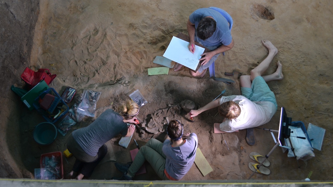 Image Credit: Dougald O’Reilly – CC BY-SA 4.0/Wiki Commons
