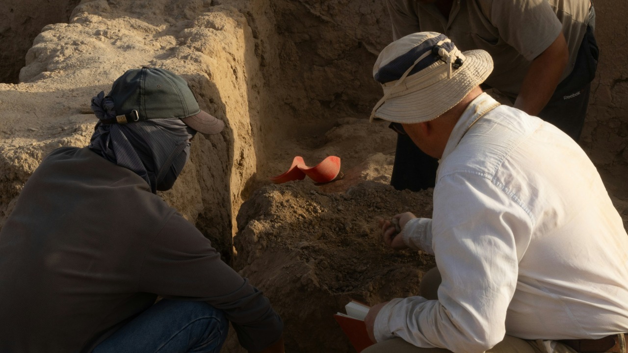 aleksander_stypczynski/Unsplash
