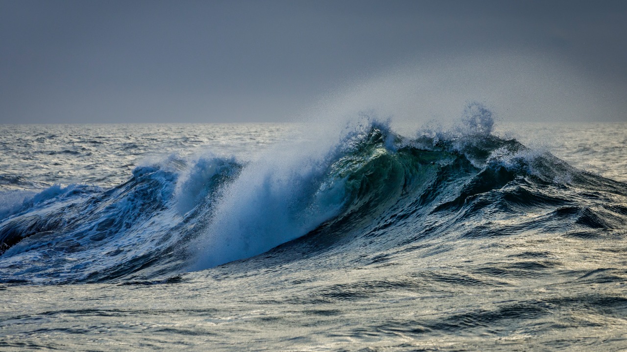 Image Credit: Thomas Fuhrmann - CC BY-SA 4.0/Wiki Commons