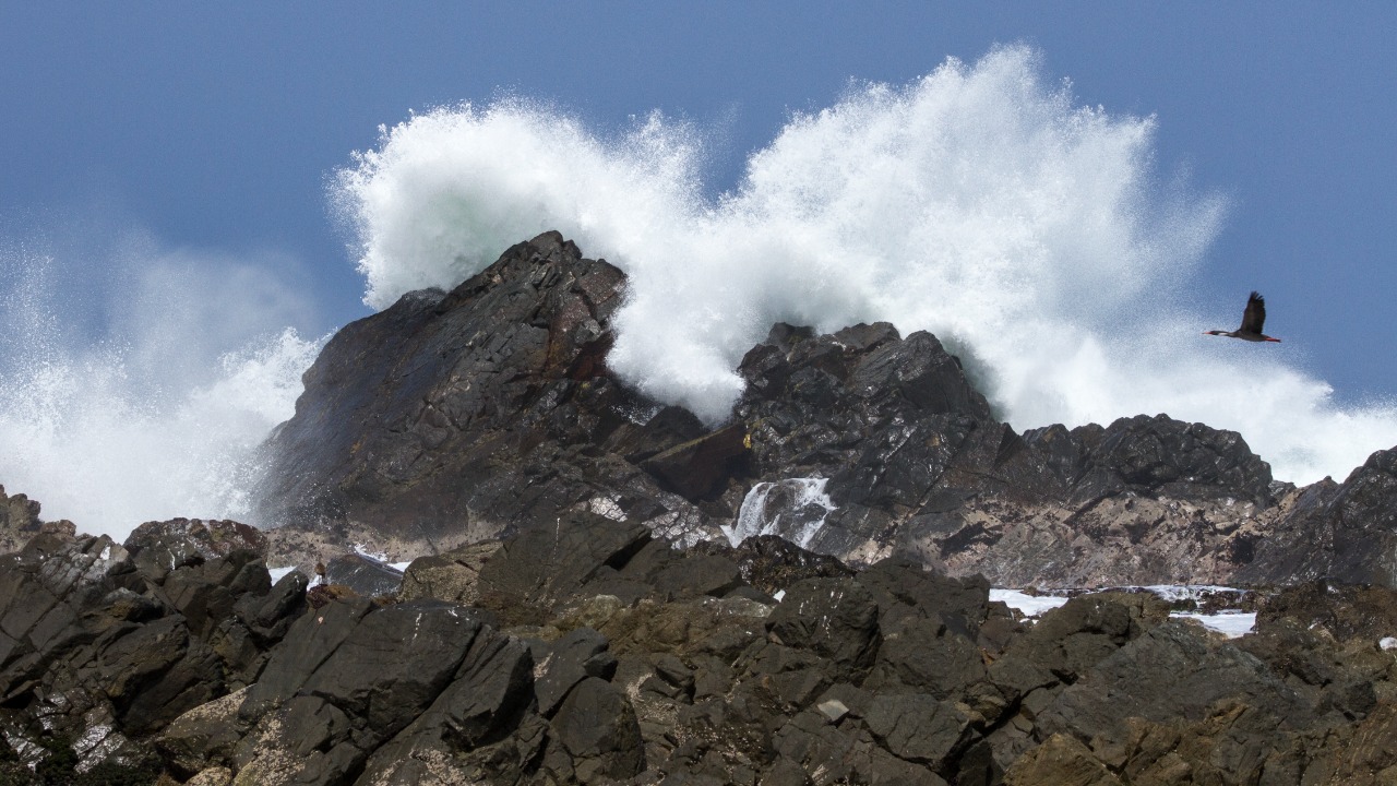 Image Credit: Psylinker7 - CC BY-SA 4.0/Wiki Commons