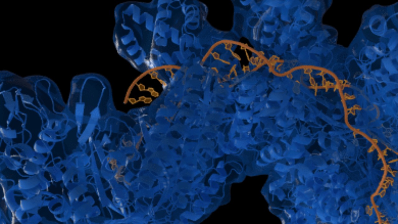 Image Credit: Thomas Splettstoesser (www.scistyle.com) - CC BY-SA 4.0/Wiki Commons
