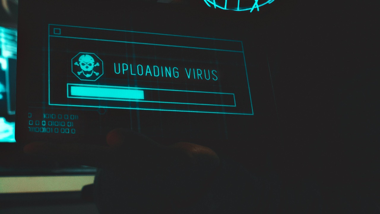 Lucas Andrade/Pexels