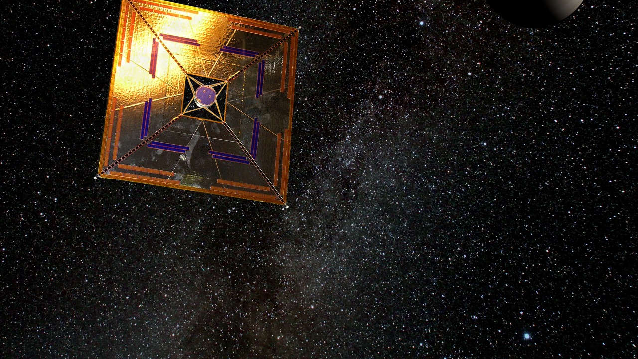 Image Credit: Andrzej Mirecki - CC BY-SA 3.0/Wiki Commons