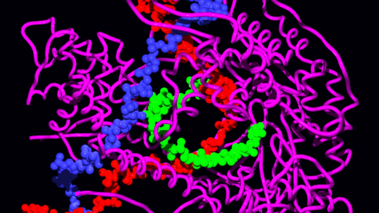 Image Credit: unknown - Public domain/Wiki Commons