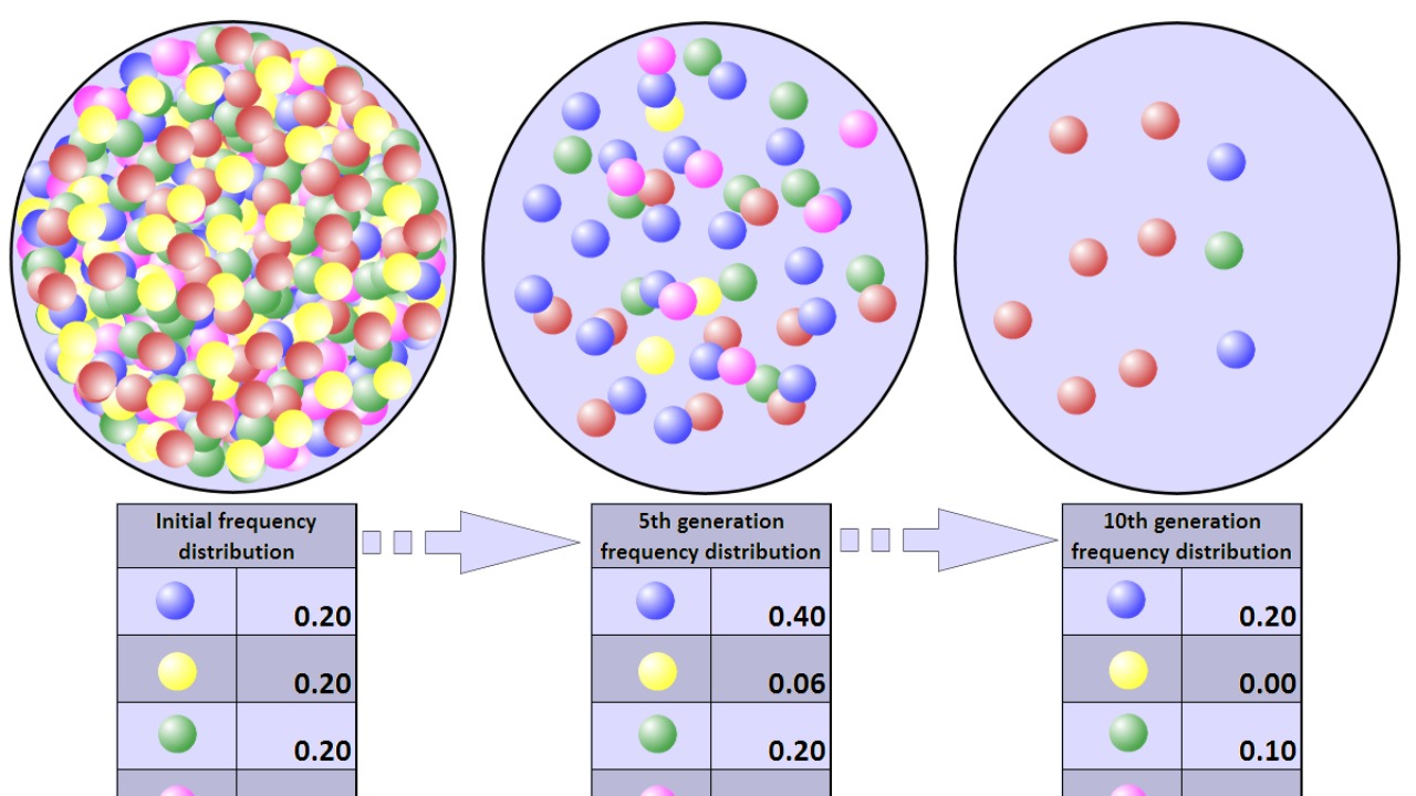 Image Credit: Professor marginalia - CC BY-SA 3.0/Wiki Commons