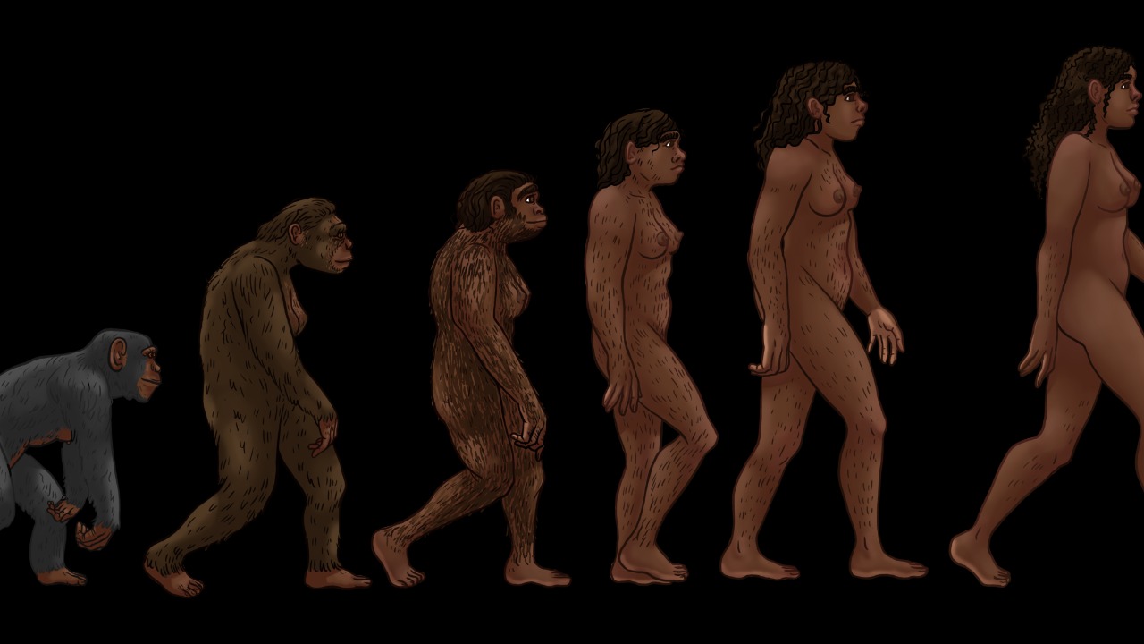 Image Credit: Stadtpflaenzchen - CC0/Wiki Commons