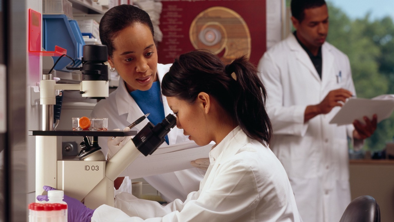 Image Credit: Rhoda Baer (Photographer) – Public domain/Wiki Commons
