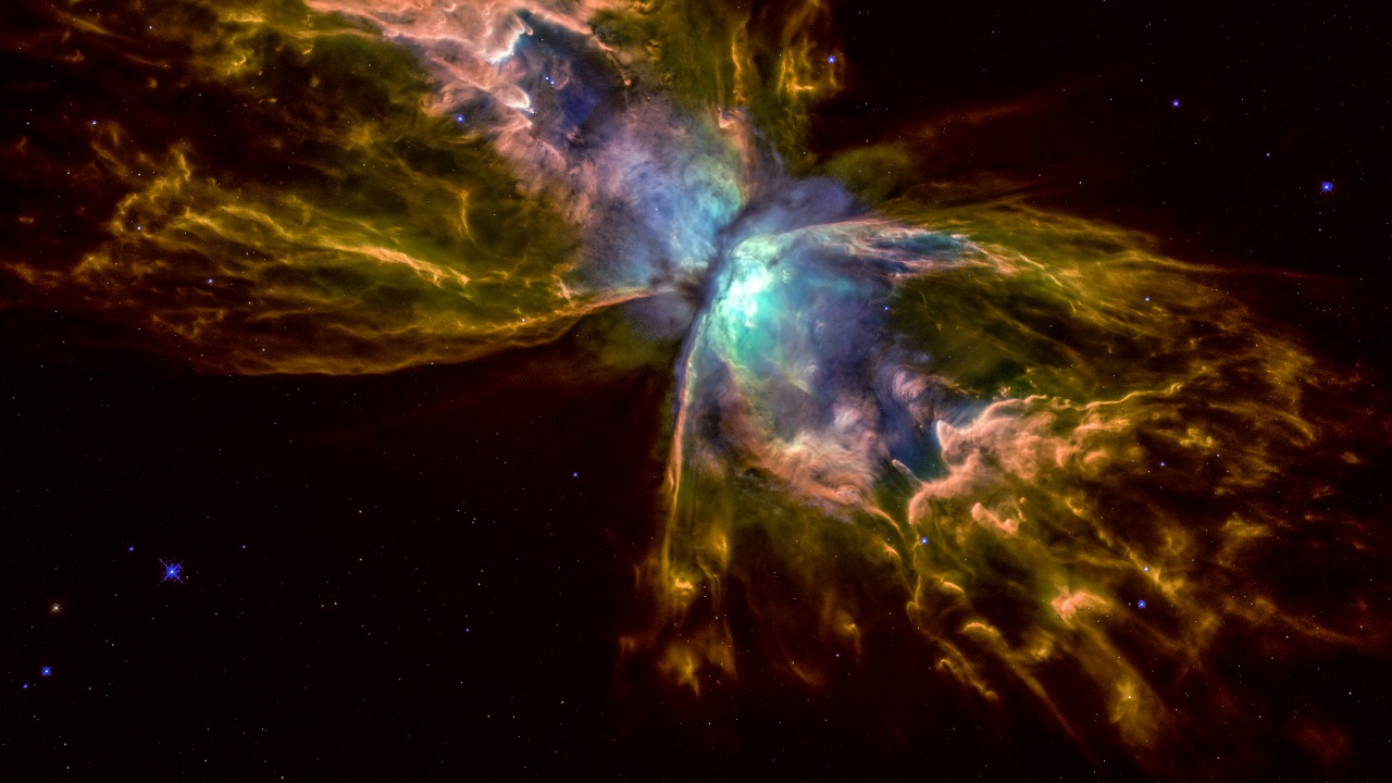 Image Credit: Kevin M. Gill - CC BY 2.0/Wiki Commons