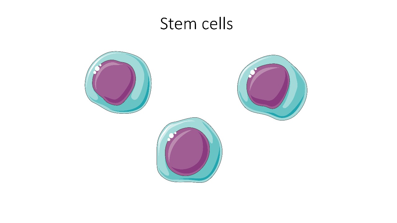 Image Credit: Laboratoires Servier - CC BY-SA 3.0/Wiki Commons