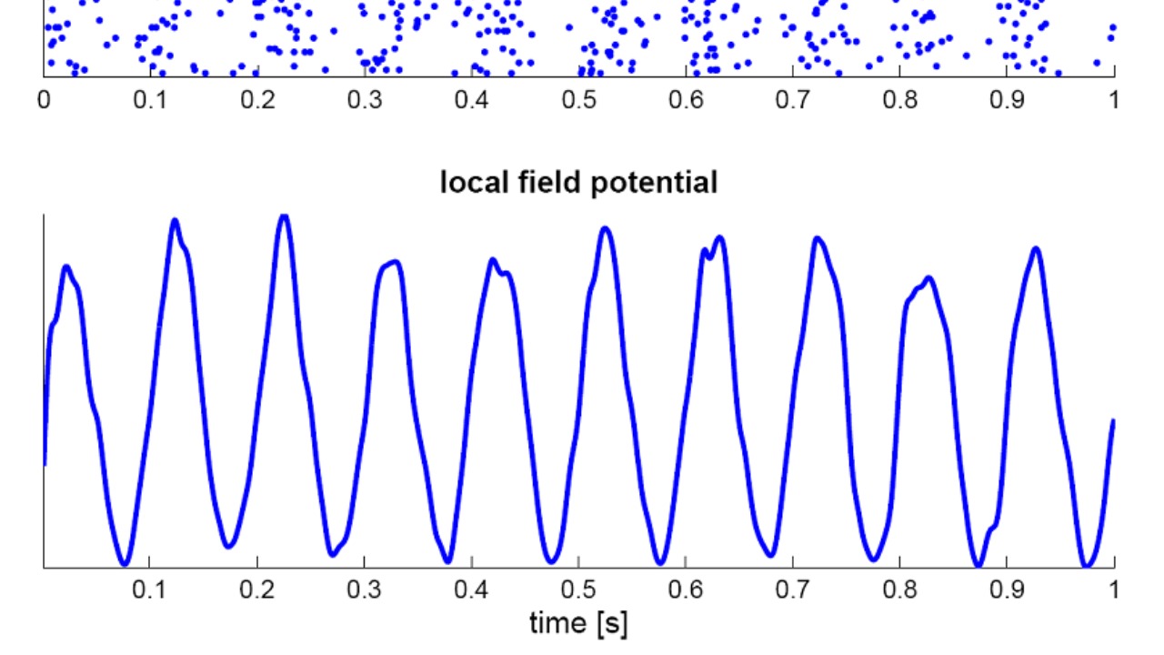 Image Credit: TjeerdB - Public domain/Wiki Commons