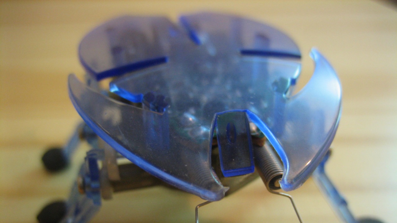 Image Credit: I G - CC BY 2.0/Wiki Commons