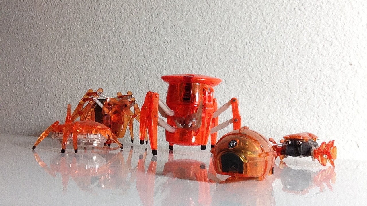 Image Credit: User:McLovin247 - CC BY-SA 3.0/Wiki Commons