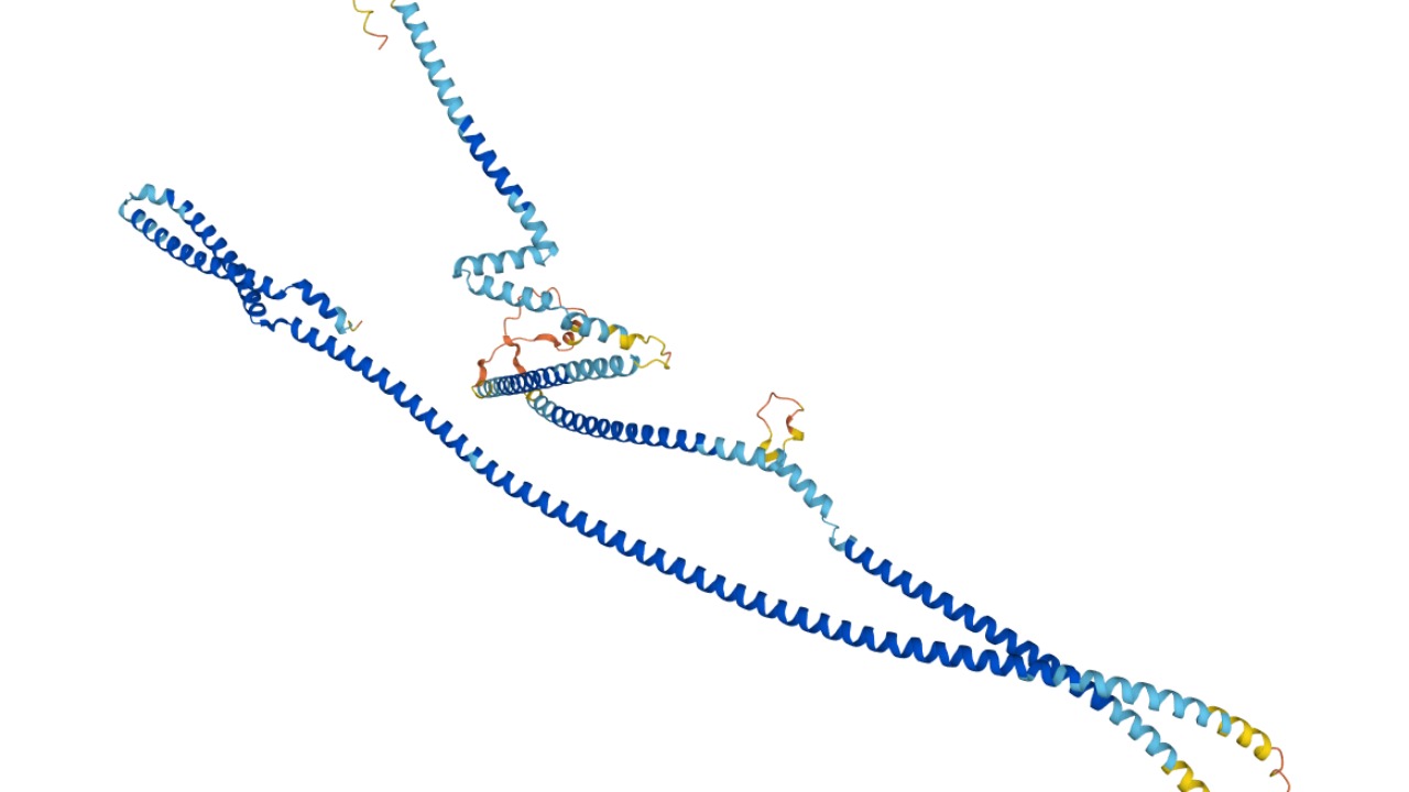 Image Credit: Theplatypus277 - CC BY-SA 4.0/Wiki Commons